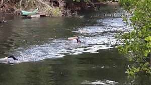 The first few meters
