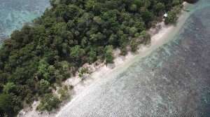 White Sandy Beach