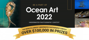 Ocean Art 2022